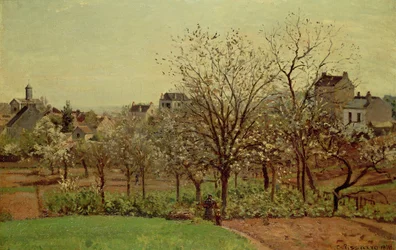 The Orchard